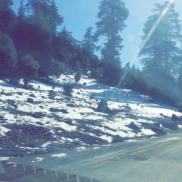 Meet your Posher, Nadia - Picture 1 of 1